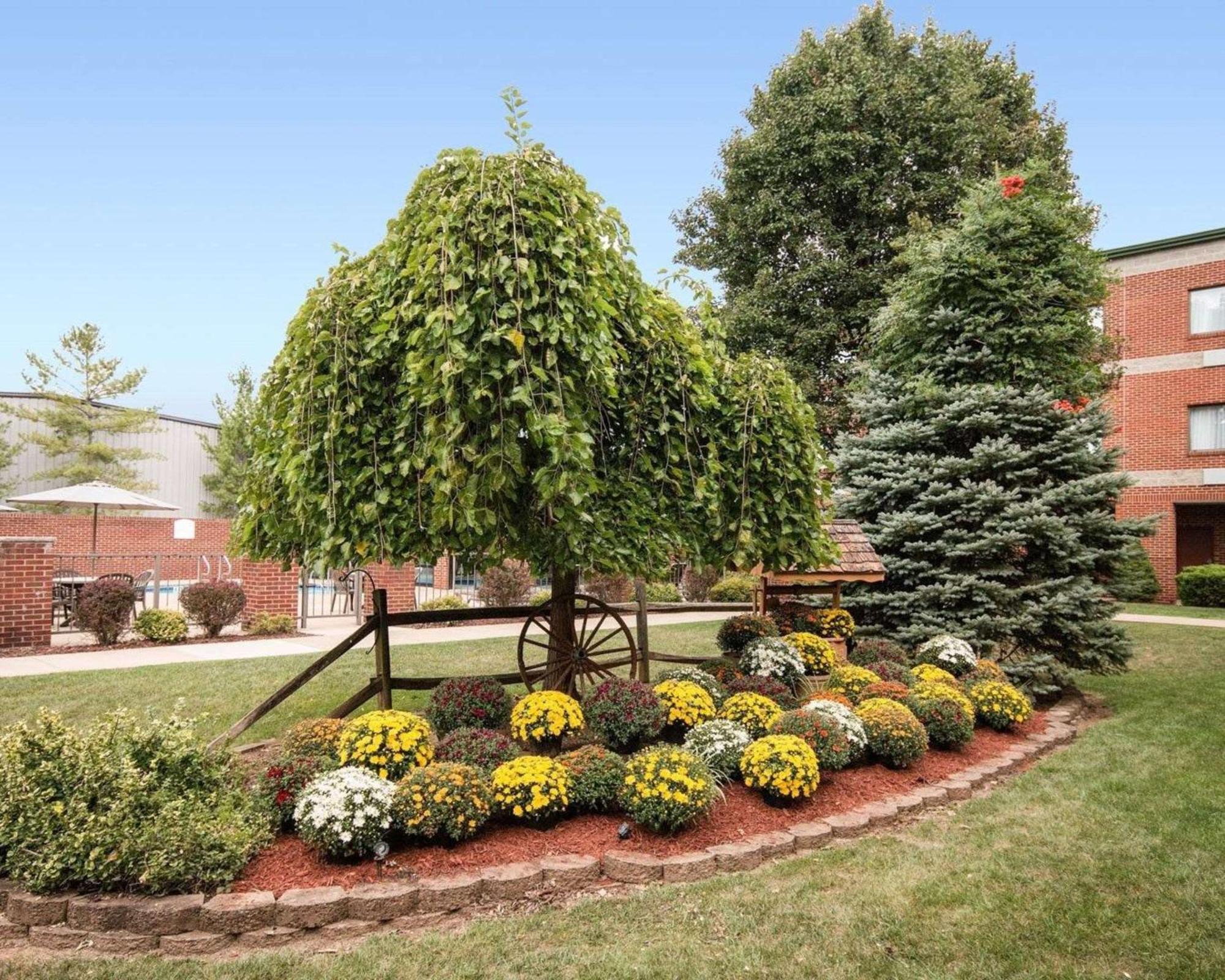 Comfort Suites Parkersburg South Mineral Wells Eksteriør bilde